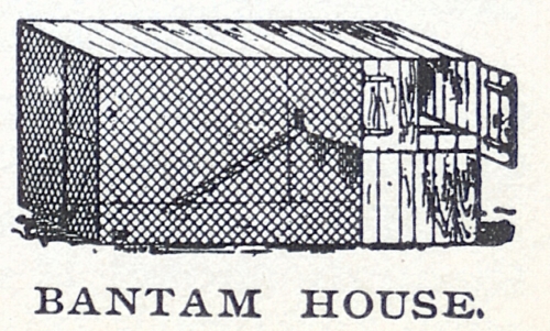 Bantam House