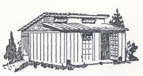 Chicken Coop