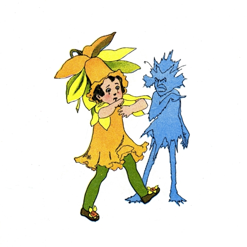 Daffodil