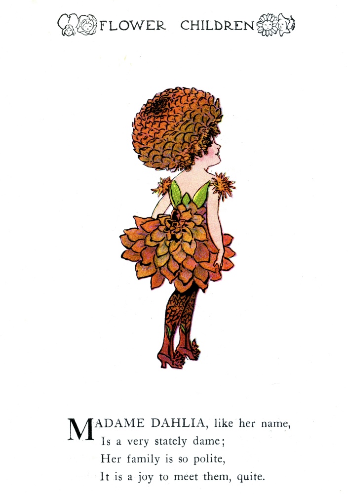 Dahlia