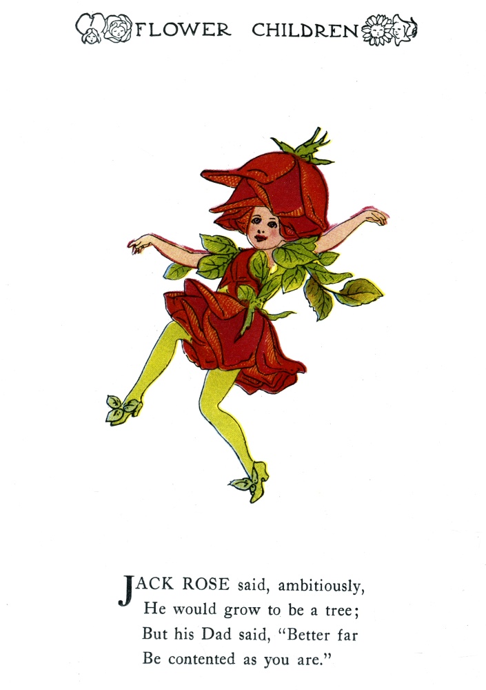 Jack Rose