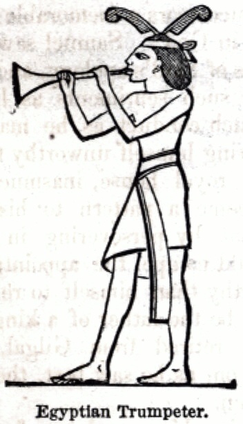 Egyptian Trumpeter