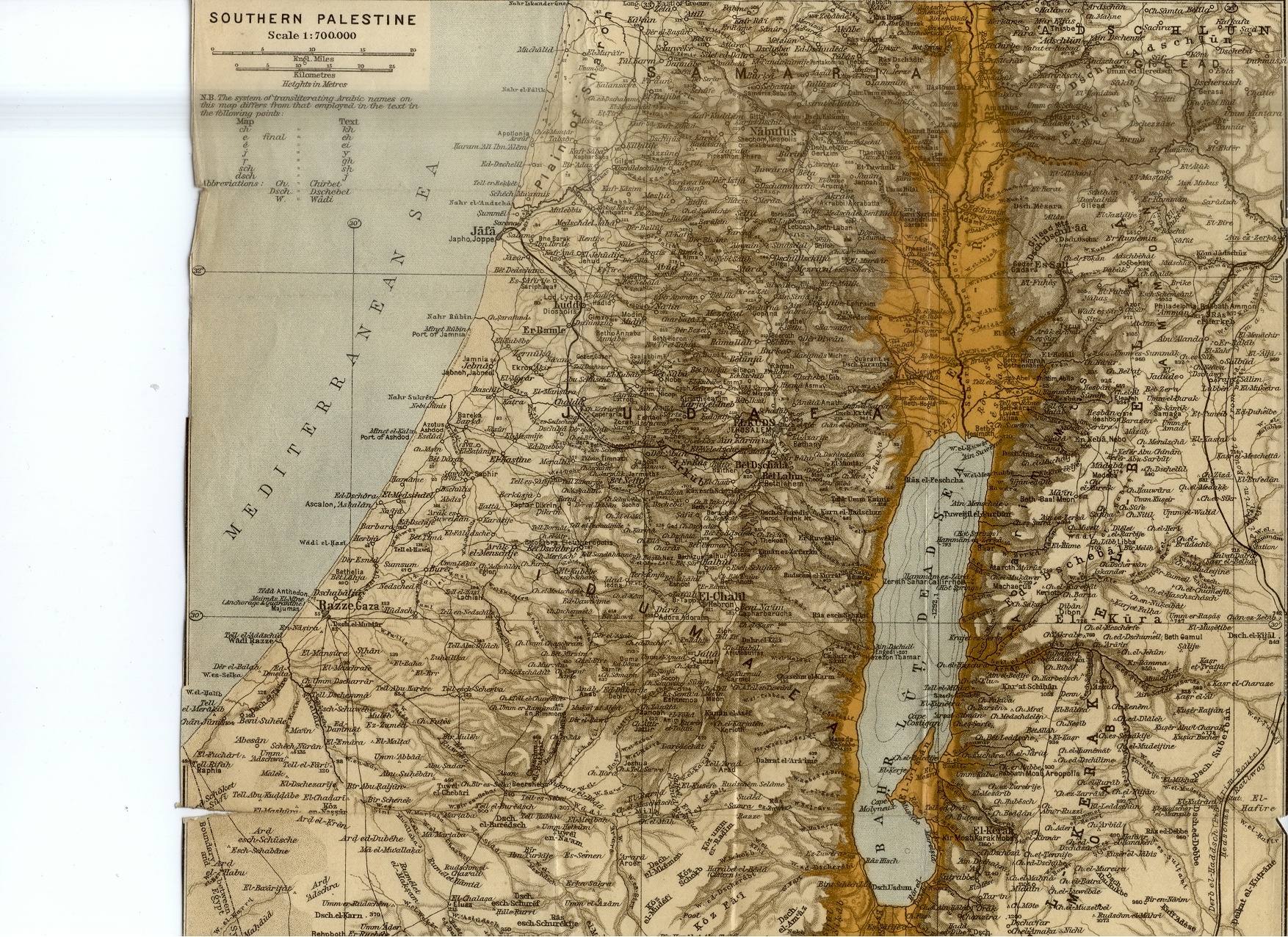 Southern Palestine Map