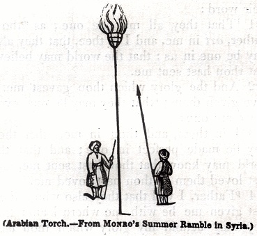 Arabian Torch - from Monro's Summer Ramble in Syria