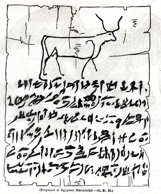 Fragment of Egyptian Manuscript