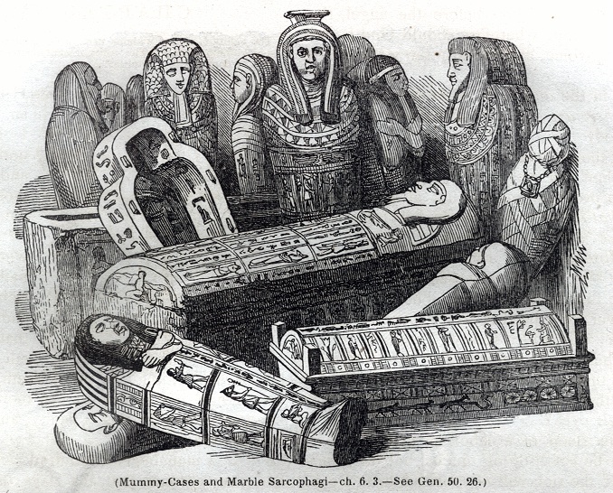 Mummy Cases and Marble Sarcophagi