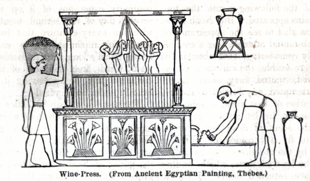 "Wine Press ( From Ancient Egyptian Painting Thebes) 	"