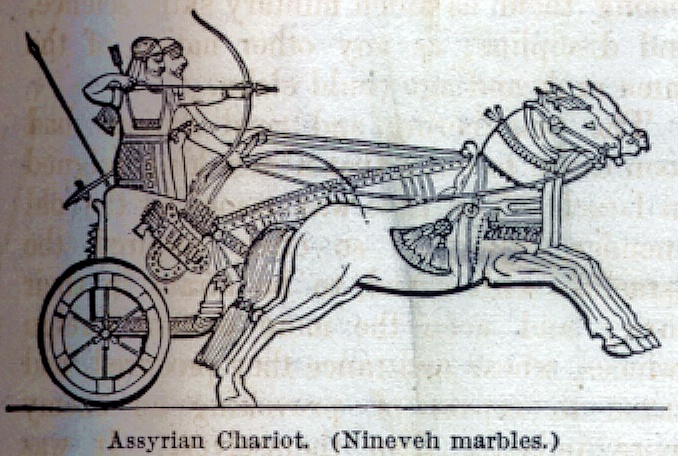 Assyrian Chariot