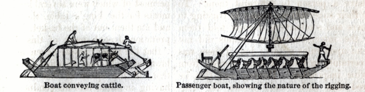 Boat conveying Cattle, Passenger Boat showing the nature of the rigging