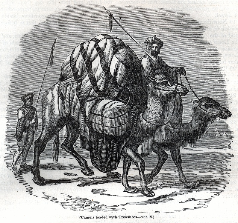 Camels loaded with Treasures