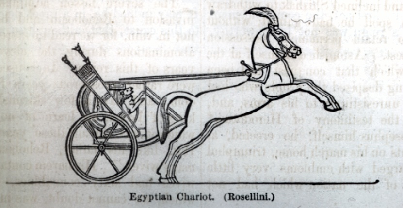 Egyptian Chariot