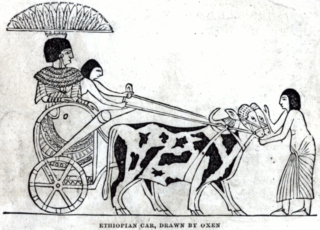 Ethiopian Car, Drawn by Oxen